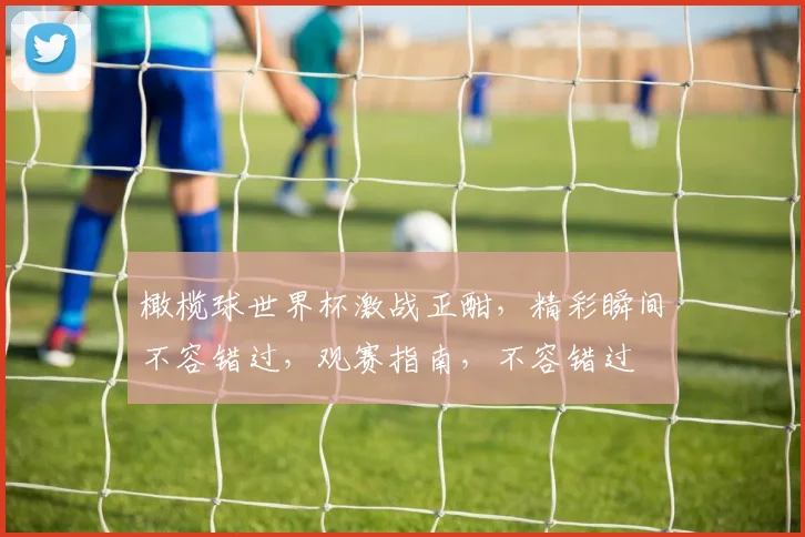 橄榄球世界杯激战正酣，精彩瞬间不容错过，观赛指南，不容错过