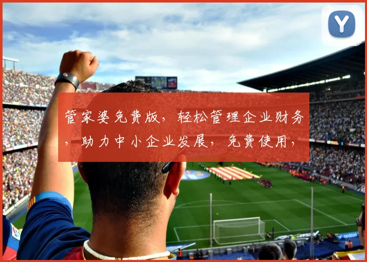管家婆免费版，轻松管理企业财务，助力中小企业发展，免费使用，不容错过，性价比高