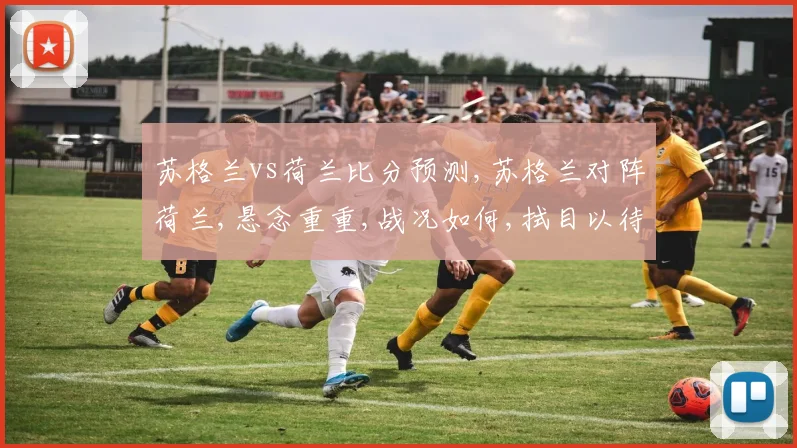 苏格兰vs荷兰比分预测,苏格兰对阵荷兰,悬念重重,战况如何,拭目以待。
