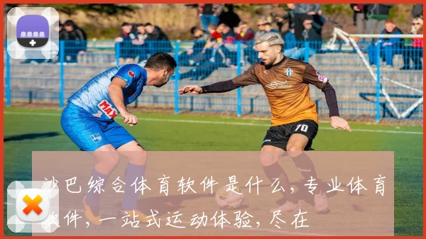 沙巴综合体育软件是什么,专业体育软件,一站式运动体验,尽在