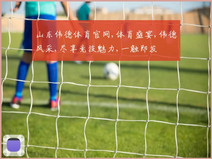 山东伟德体育官网,体育盛宴,伟德风采,尽享竞技魅力,一触即发