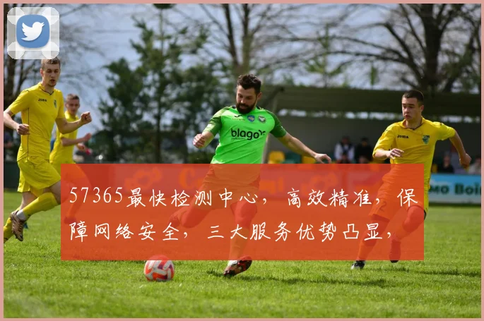 57365最快检测中心，高效精准，保障网络安全，三大服务优势凸显，值得信赖