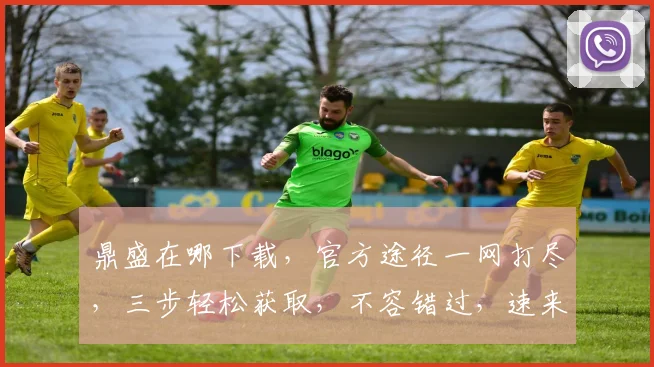 鼎盛在哪下载，官方途径一网打尽，三步轻松获取，不容错过，速来体验